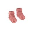 z8-nb-s240040zenon-cherry-blossom