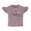 z8kidss250017kera
