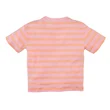 z8kidss250025lucca-back