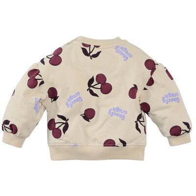 Z8-MINI-W25-_0001_Liefe-back