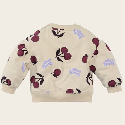 Z8-MINI-W25-_0001_Liefe-back