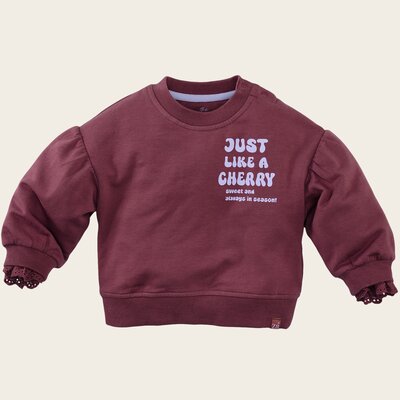 Z8-MINI-W25-_0004_Lizelot