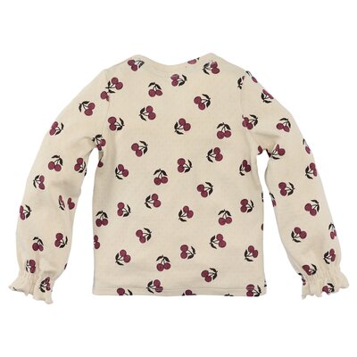 Z8-MINI-W25-_0007_Hinde-back