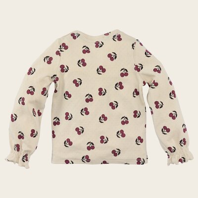 Z8-MINI-W25-_0007_Hinde-back