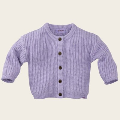 Z8-MINI-W25-_0038_Maire