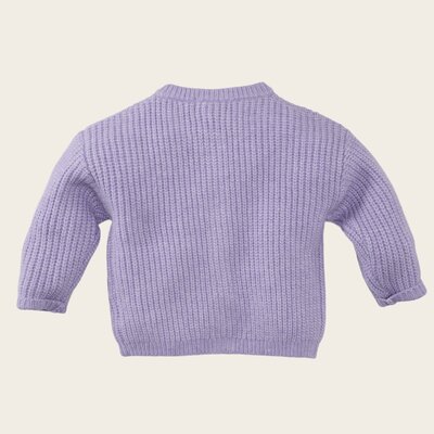 Z8-MINI-W25-_0039_Maire-back