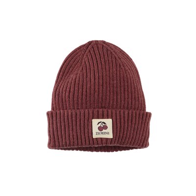 Z8-MINI-W25-_0074_Torin-Spicy-mauve