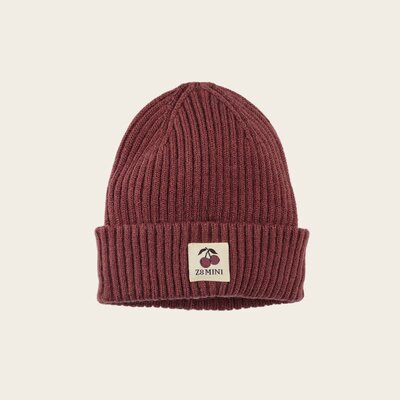 Z8-MINI-W25-_0074_Torin-Spicy-mauve