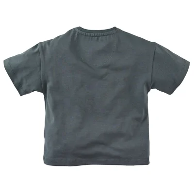 Z8-MINI-_0001_Sale-Gilberto-back