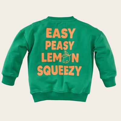 Z8-MINI-_0003_Sale-Gillermo-back