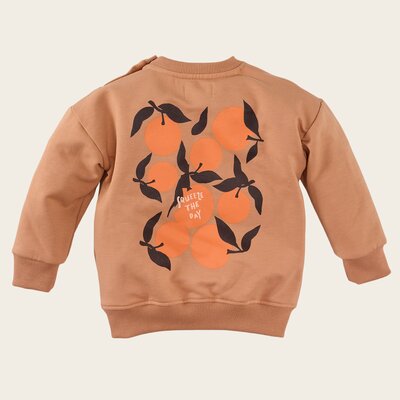 Z8-MINI-_0005_Sale-Teije-back