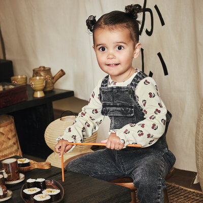 Z8MiniW2025-set9-1522