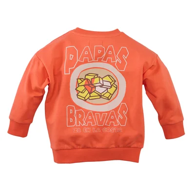 Z8_MINI_S26_0001_Dayn-back