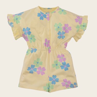 Z8_MINI_S26_0042_Veda