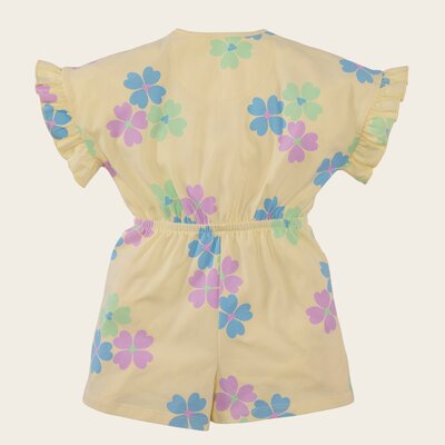 Z8_MINI_S26_0043_Veda-back