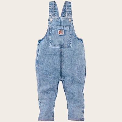 Z8_MINI_S26_0052_Aras