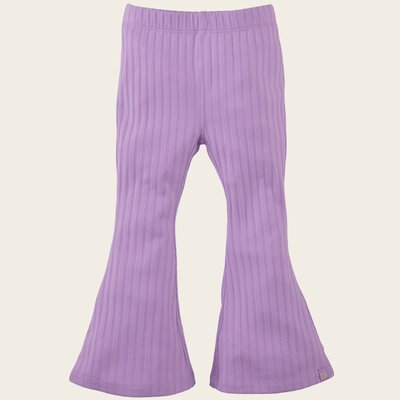 Z8_MINI_S26_0084_Medina