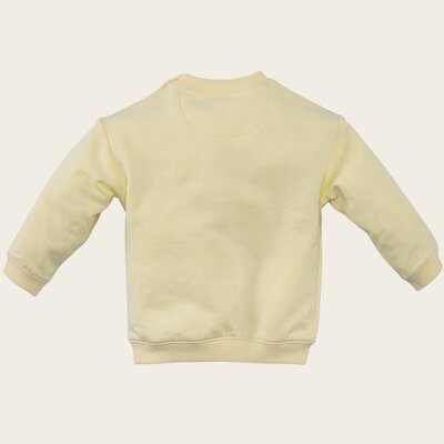 Z8_Newborn_S26_0021_Guus-back