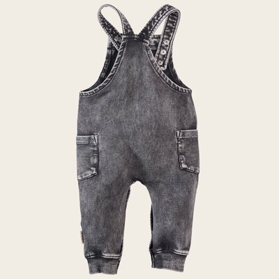 z8-essentials0010taed-back