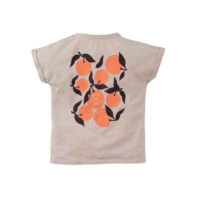 z8-mini-limited-s250001renardo-back