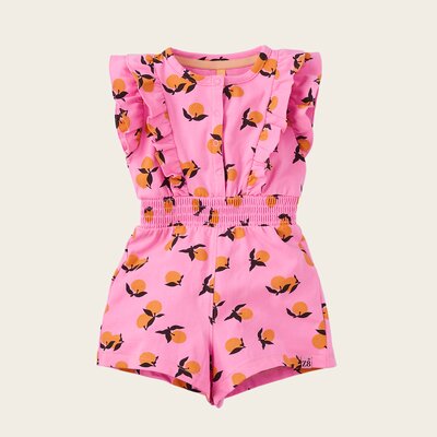 z8-mini-lmd-s250010rois