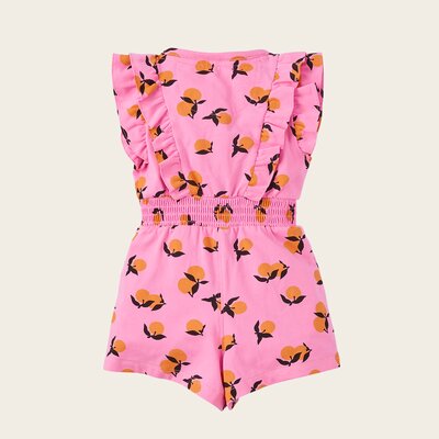 z8-mini-lmd-s250011rois-back