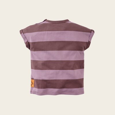 z8-mini-s250011bernardo-back