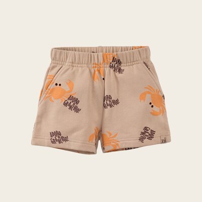 z8-mini-s250052lazaro