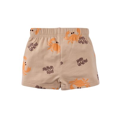 z8-mini-s250053lazaro-back