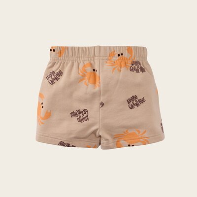 z8-mini-s250053lazaro-back