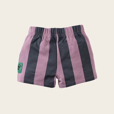 z8-mini-s250055ernesto-back