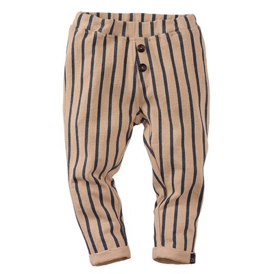 z8-mini-s250066maurizio