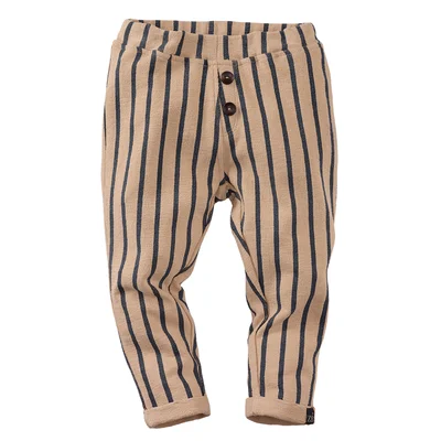 z8-mini-s250066maurizio