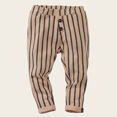 z8-mini-s250066maurizio