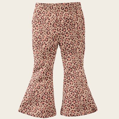 z8-mini-s250074carmine