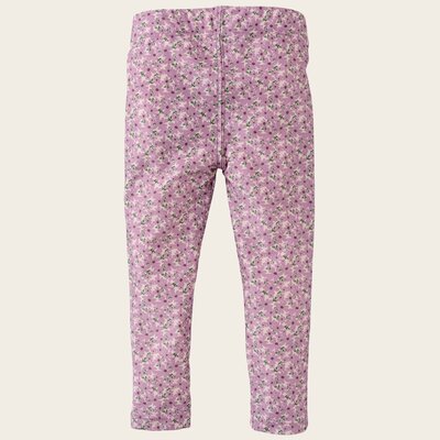 z8-mini-s250081neta-back