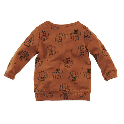 z8-nb-noos210014kiran-back