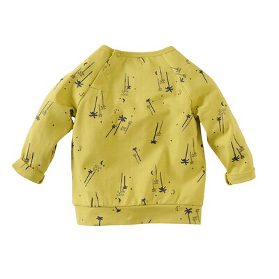 z8-nb-s230007wayne-back