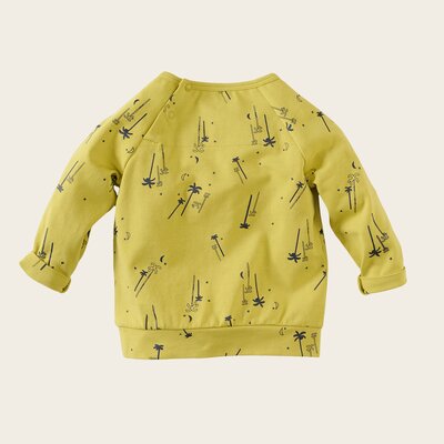 z8-nb-s230007wayne-back