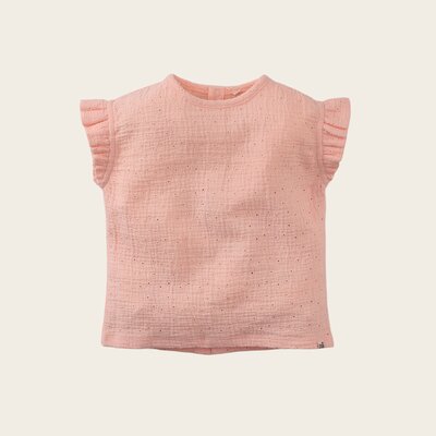 z8-nb-s250006olimpia