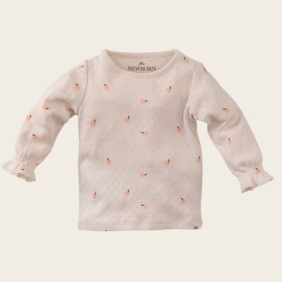 z8-nb-s250012eloisa