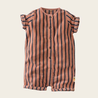 z8-nb-s25limited0002guido