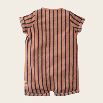 z8-nb-s25limited0003guido-back