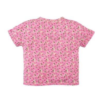 z8kidss250022celestino