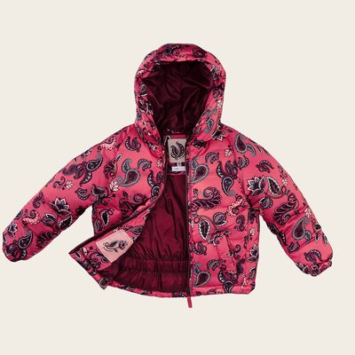 z8mkw220012gina-open