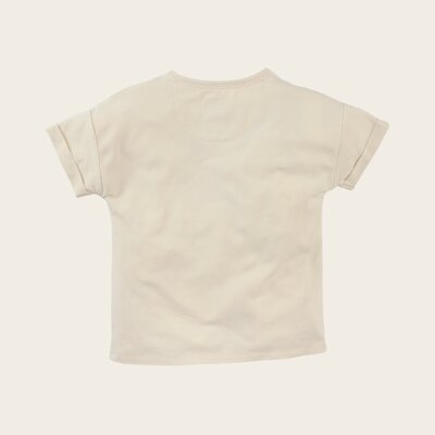 z8mkw240027noleste-back