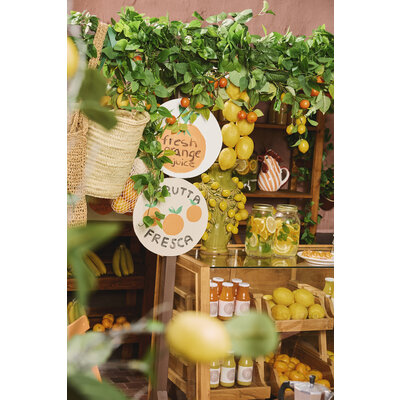 z8nb2024serie2-set3-0486